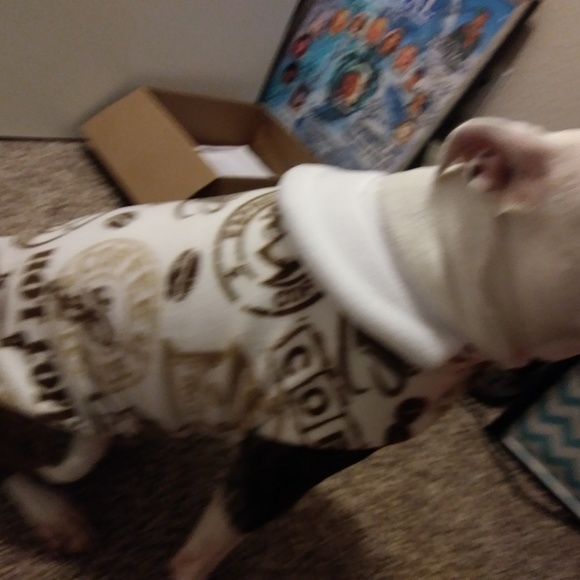 Doggie Coats,Messenger Bags, Bags, Scarves Pillows - Picture 7 of 8